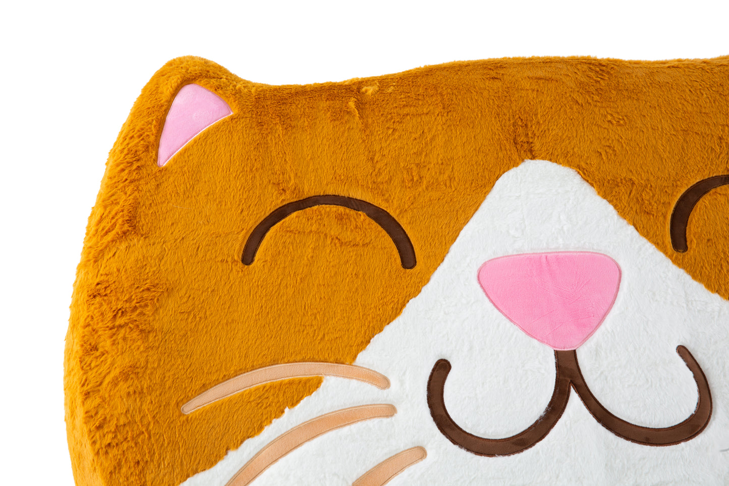 Cat Floor Pillow