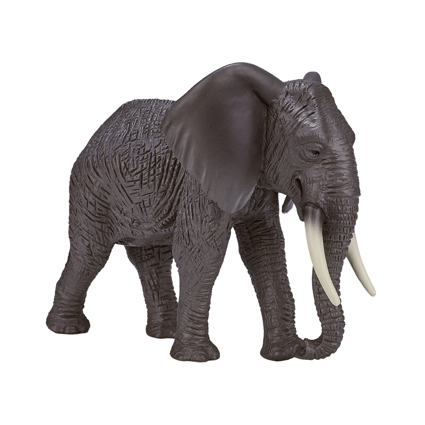 Mojo African Elephant