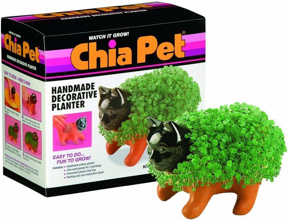 Chia Kitten