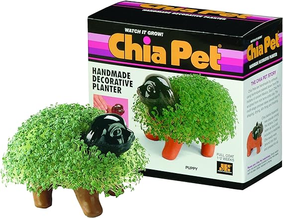 Chia Puppy