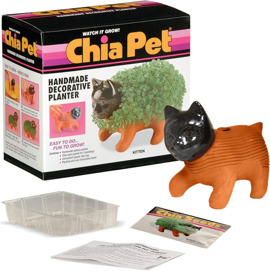 Chia Kitten