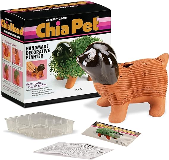 Chia Puppy