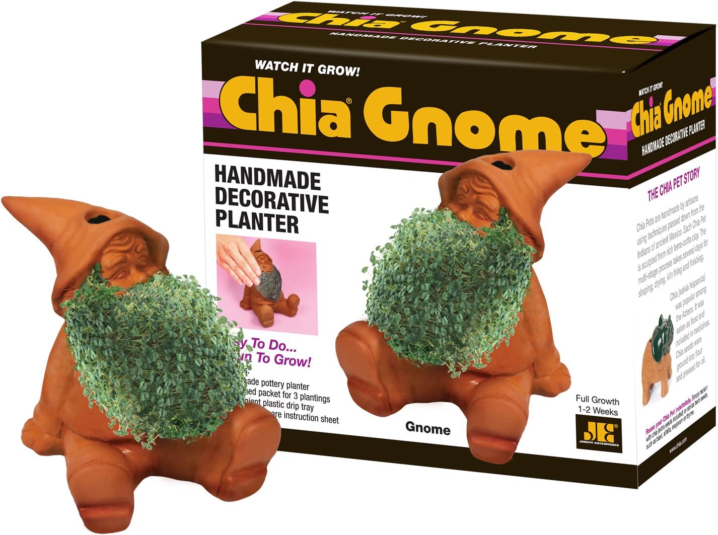 Chia Gnome
