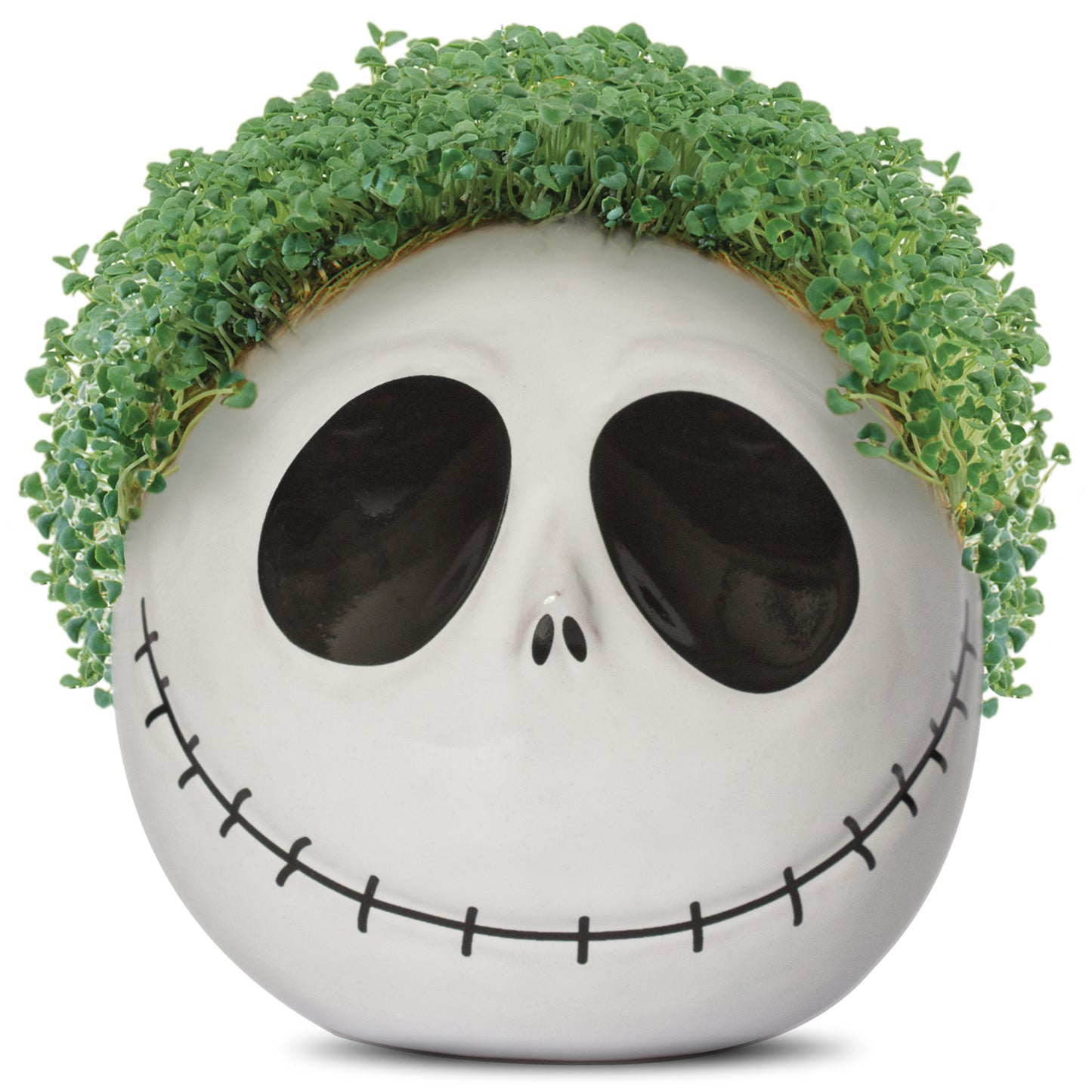Chia Pet The Nightmare Before Christmas- Jack Skellington