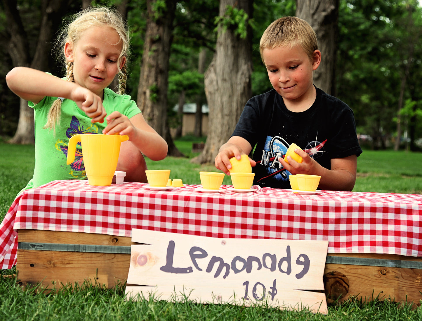 The Lemonade Set