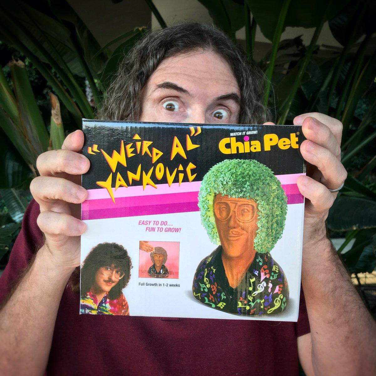 Chia Pet Weird Al Yankovic