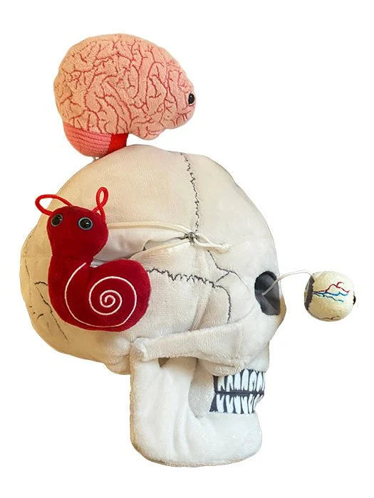 Deluxe Skull with minis