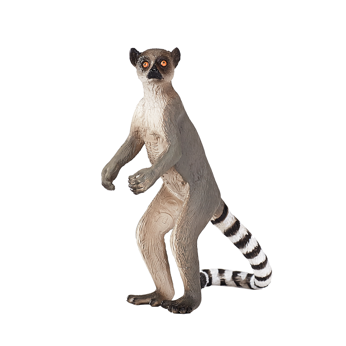 Ringtail Lemur with Baby