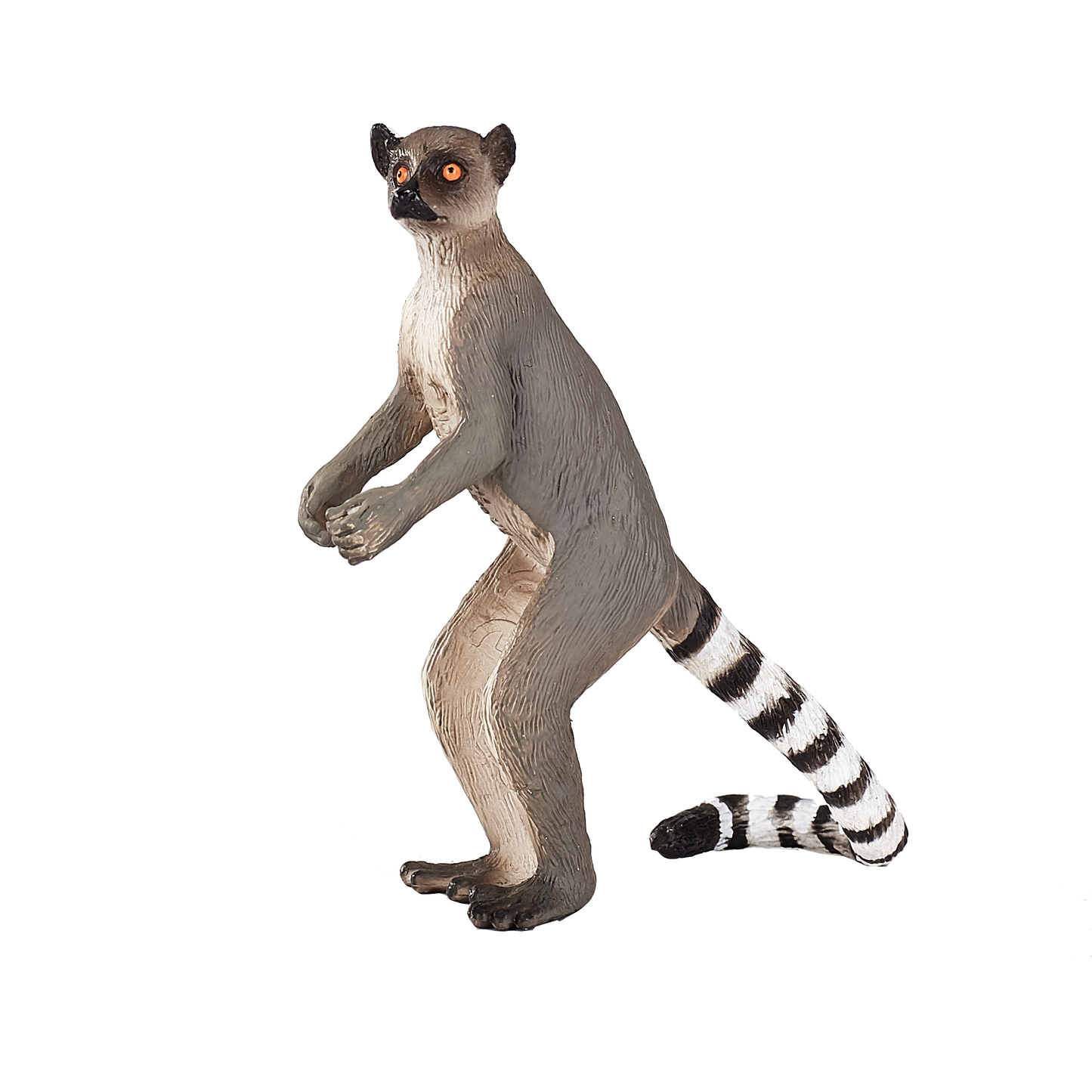 Ringtail Lemur with Baby