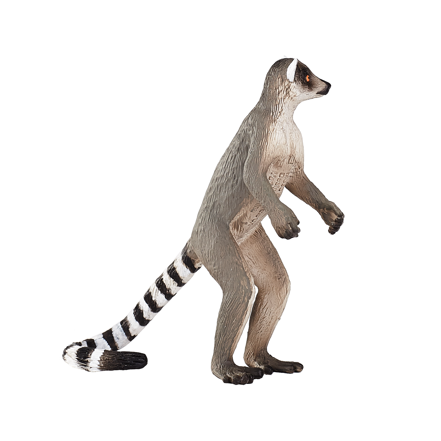 Ringtail Lemur with Baby