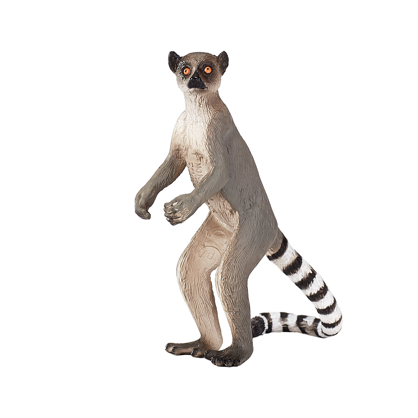Ringtail Lemur with Baby