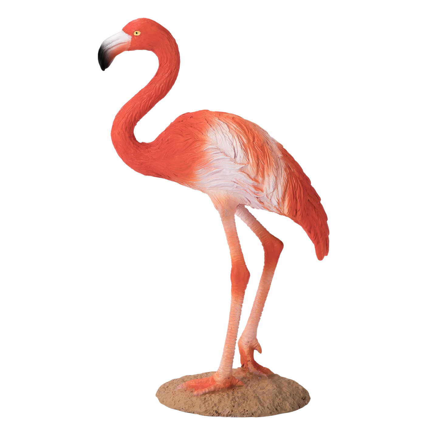 Mojo American Flamingo