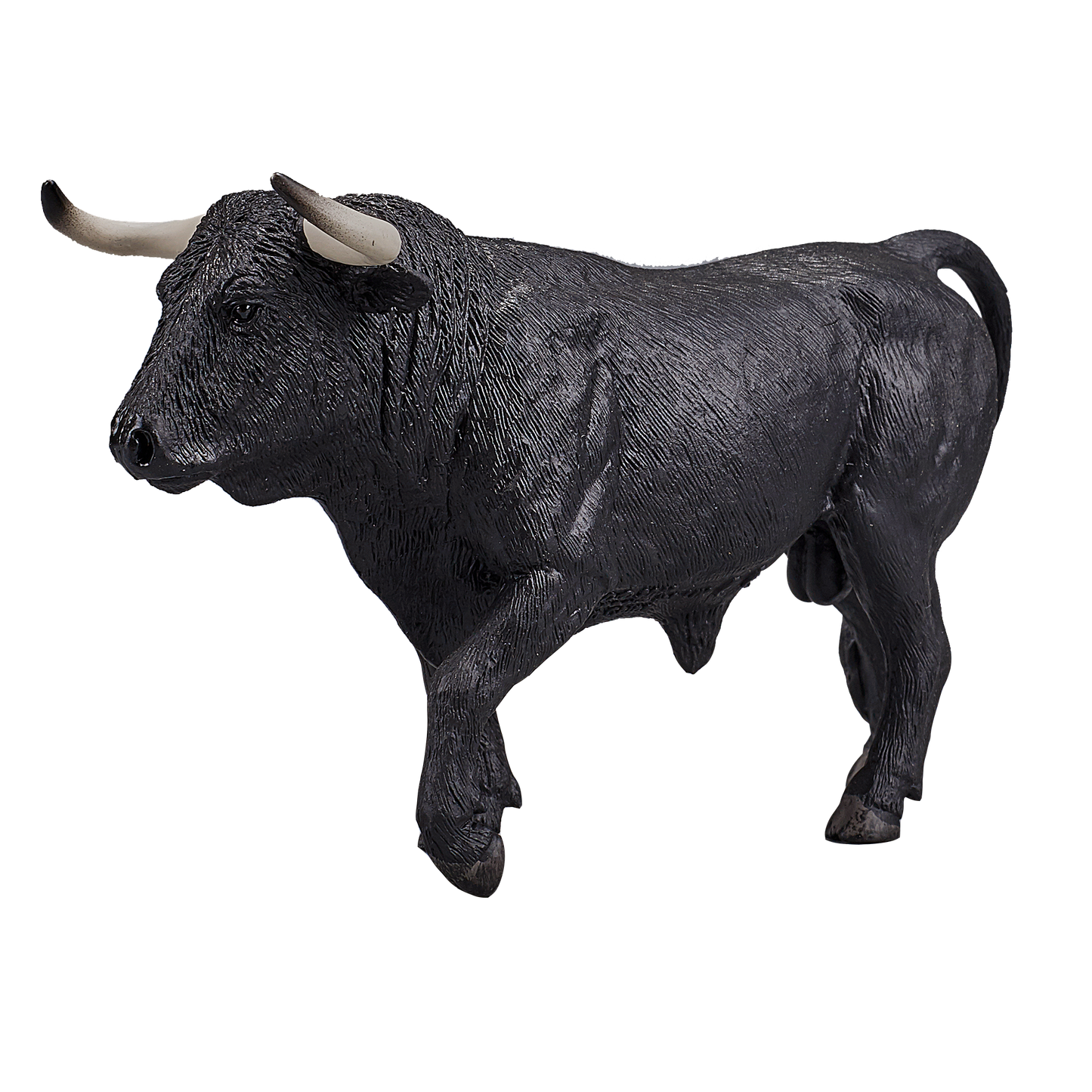 Mojo Spanish Bull