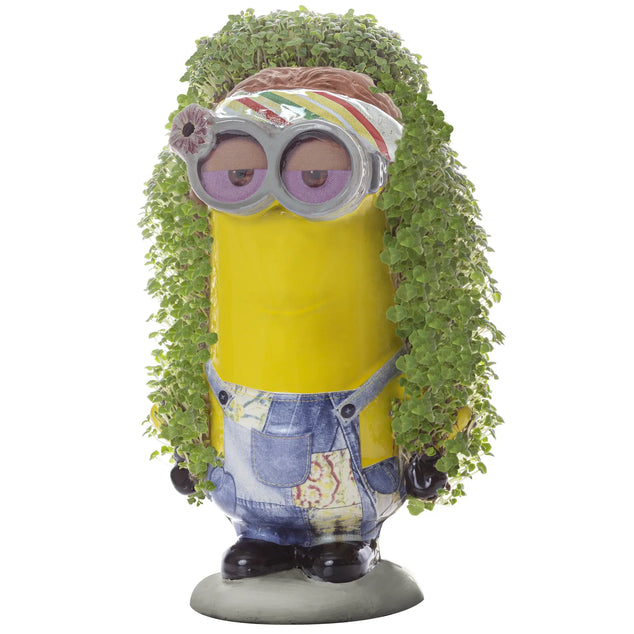Chia Pet Minion - Kevin