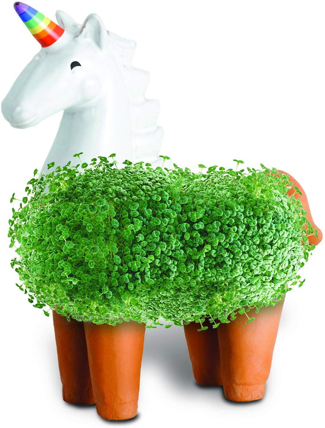 Chia Unicorn - Super Toy