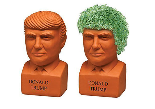 Chia Donald Trump