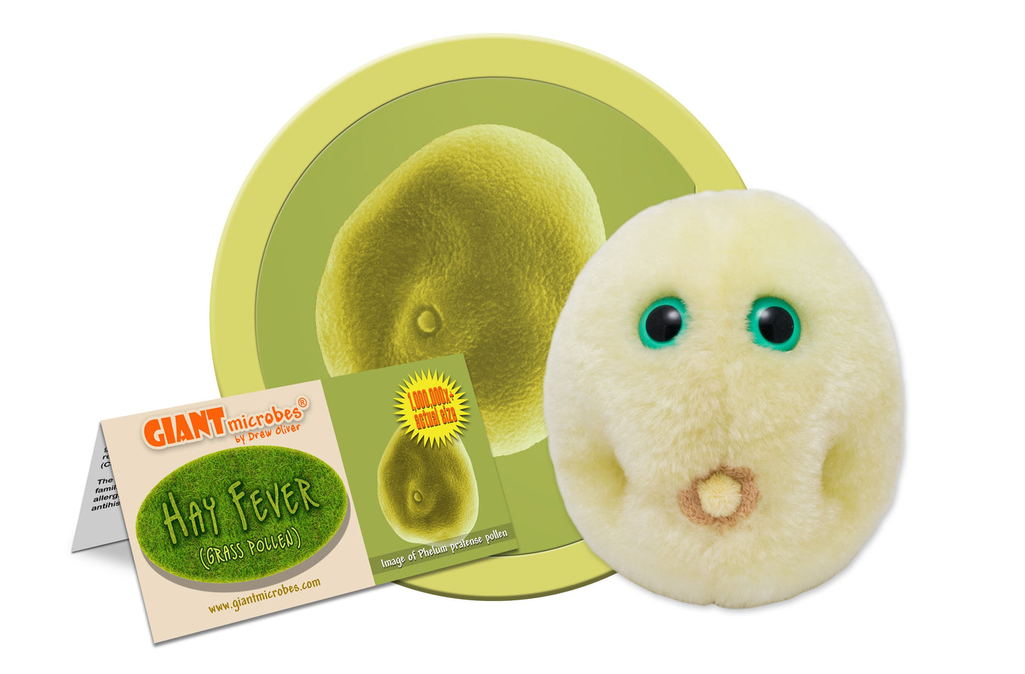 Hay Fever (Grass Pollen)