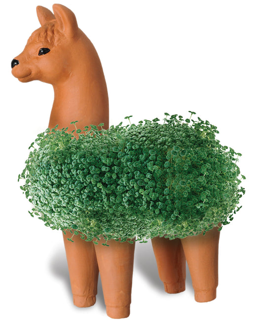Chia Pet Llama