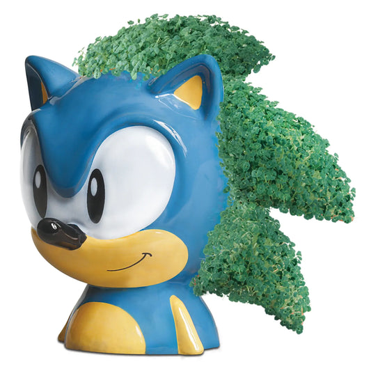 Chia Pet Sonic the Hedgehog