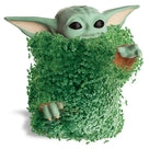 Chia The Child: Using The Force Pose