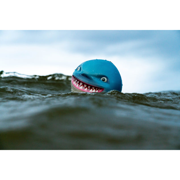 Sharky Shark (18)