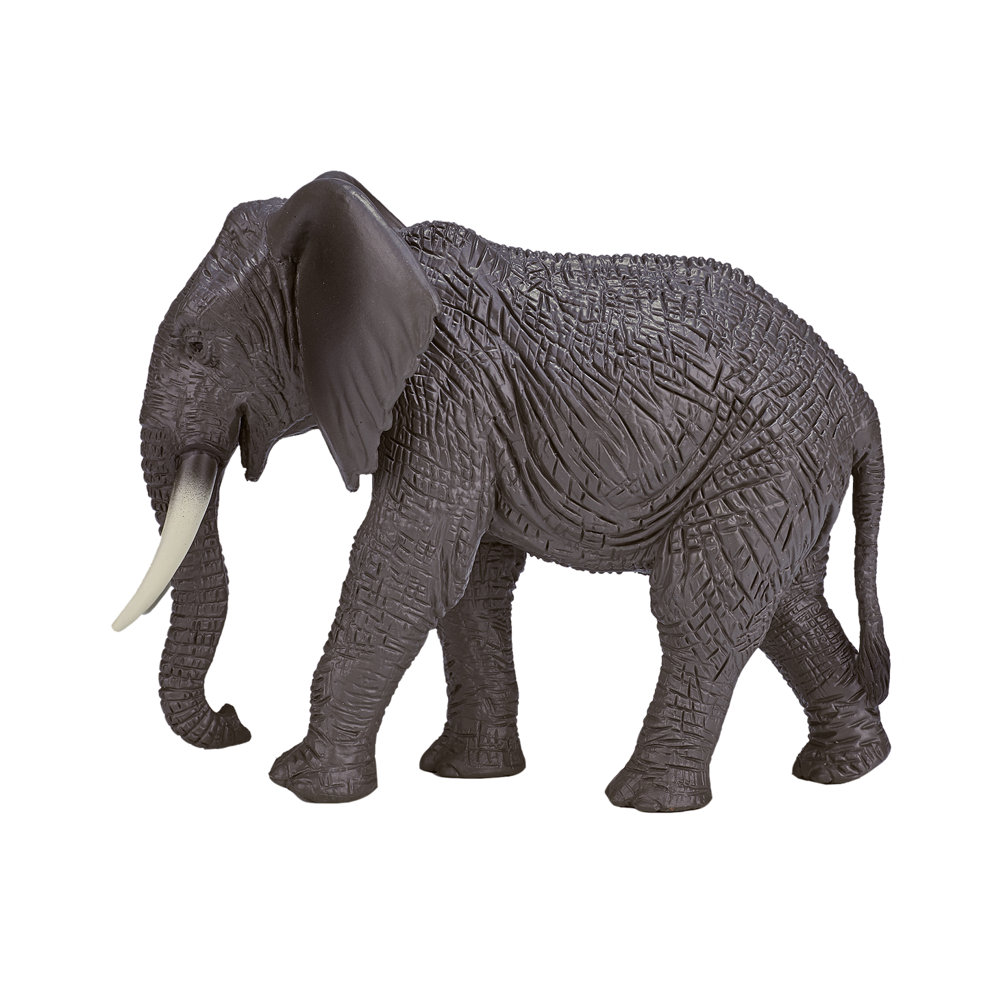 Mojo African Elephant
