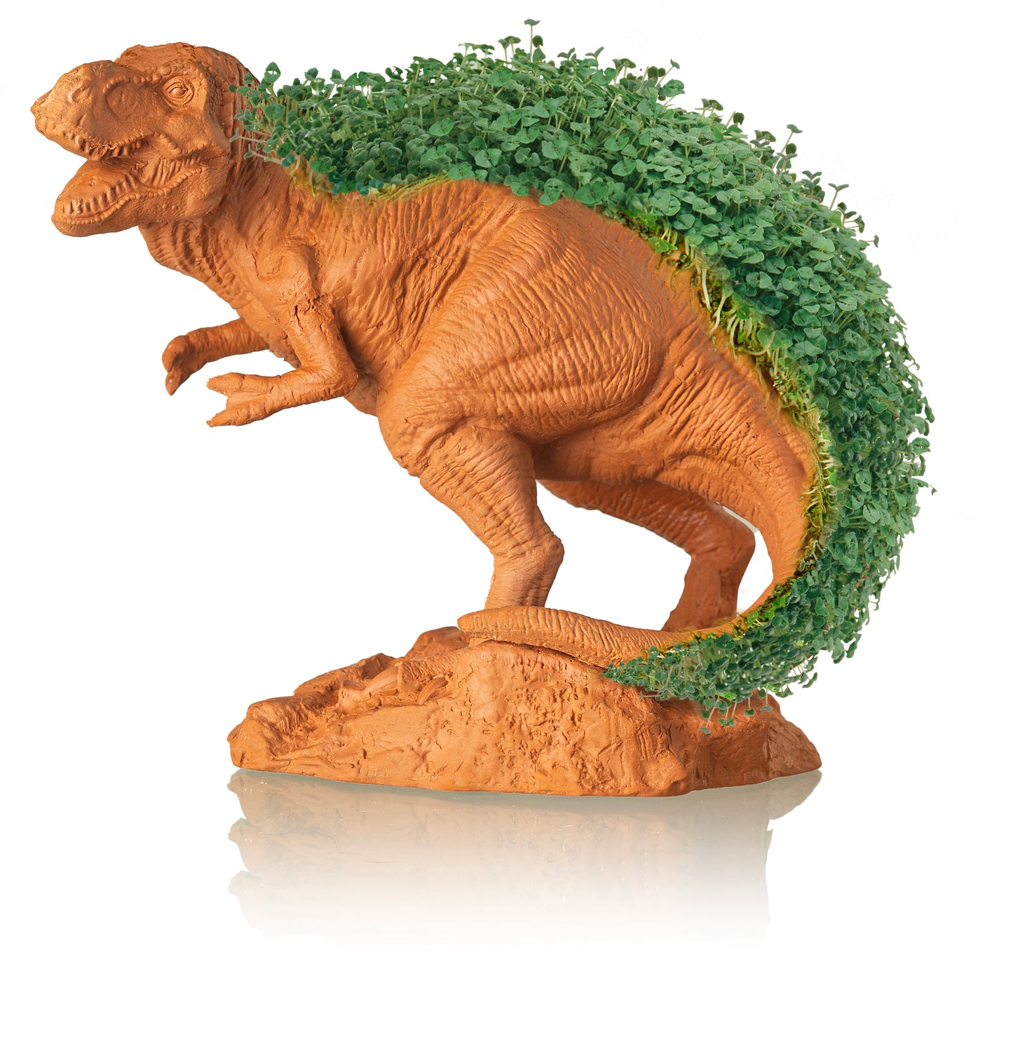 Chia Pet T-Rex - Tyrannosaurus