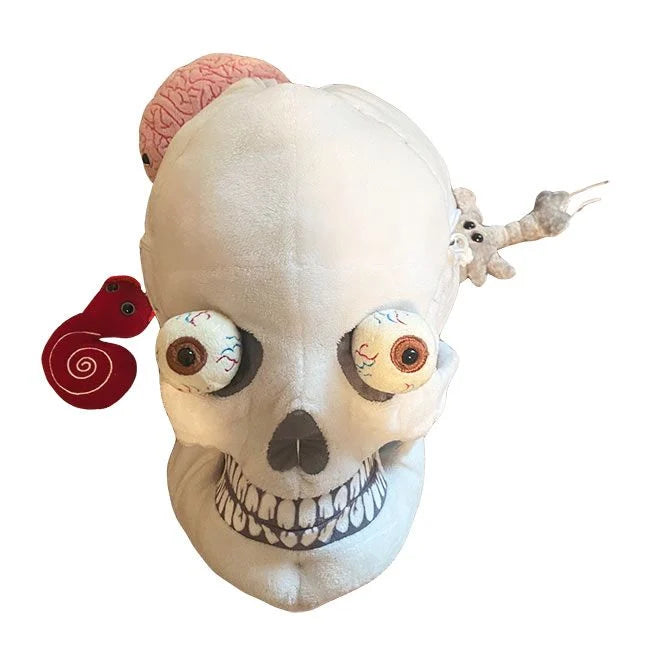 Deluxe Skull with minis