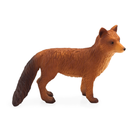 Red Fox