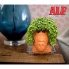 Chia Alf