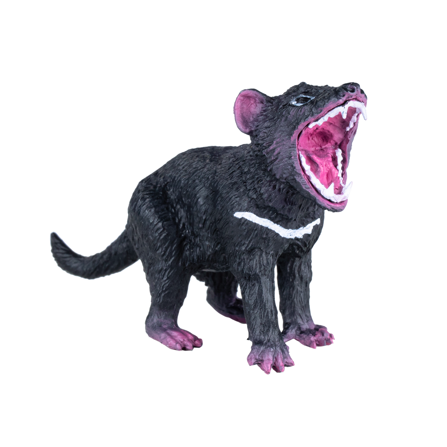 Tasmanian Devil