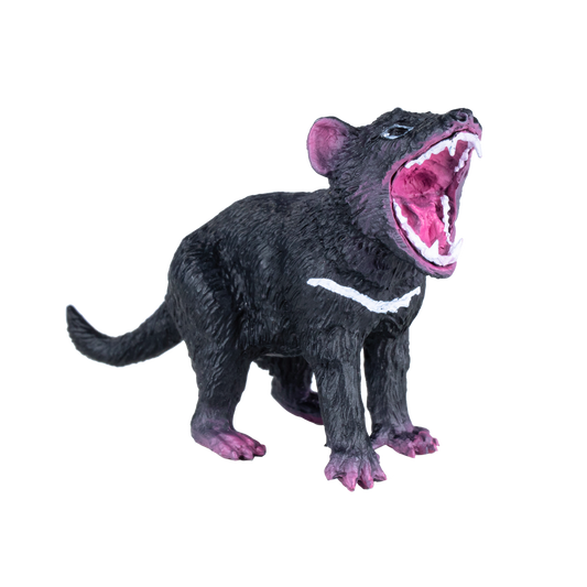 Tasmanian Devil