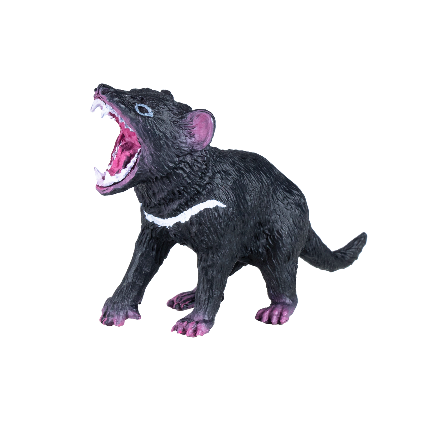 Tasmanian Devil