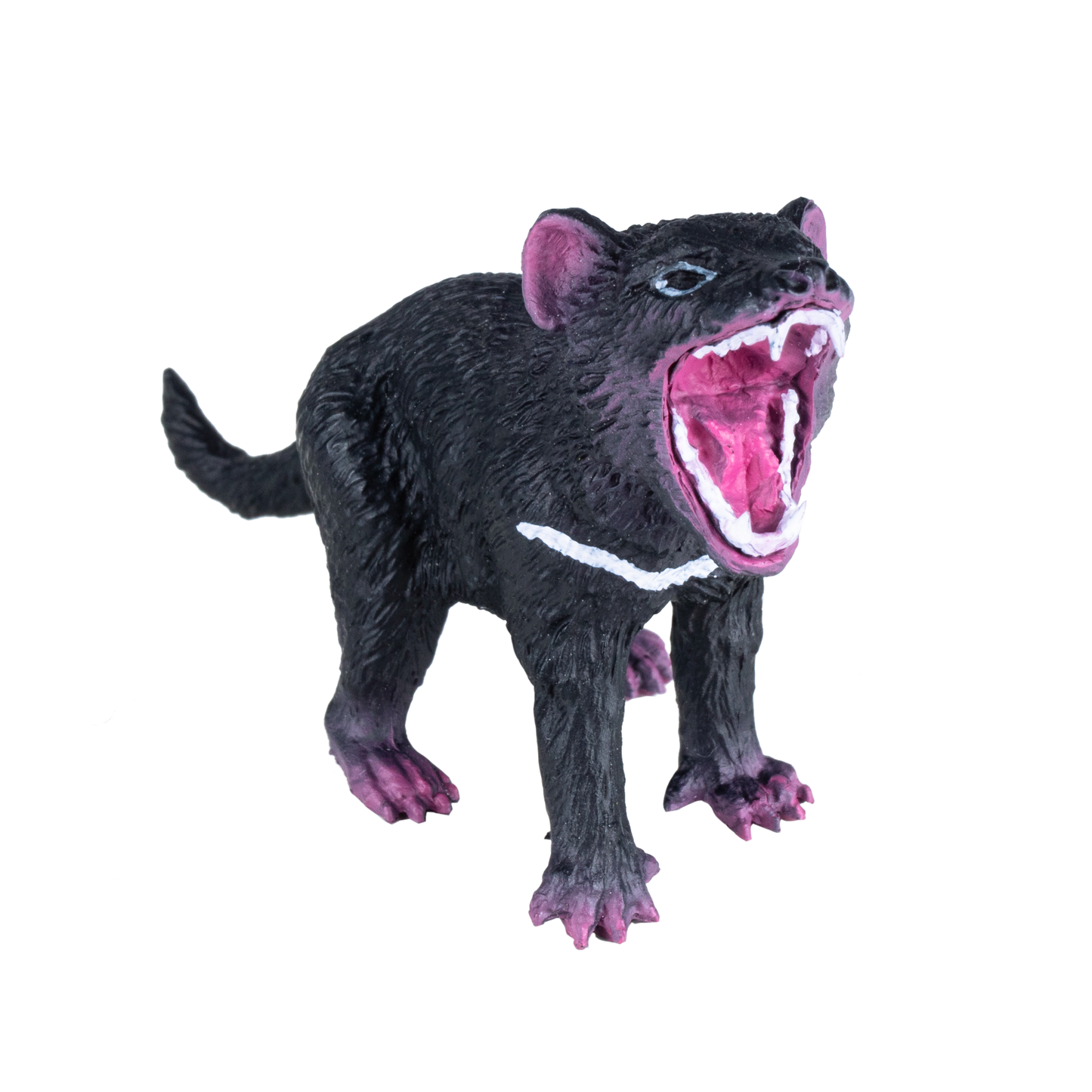 Tasmanian Devil