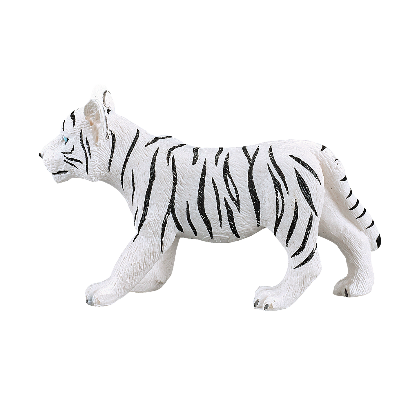 White Tiger cub standing