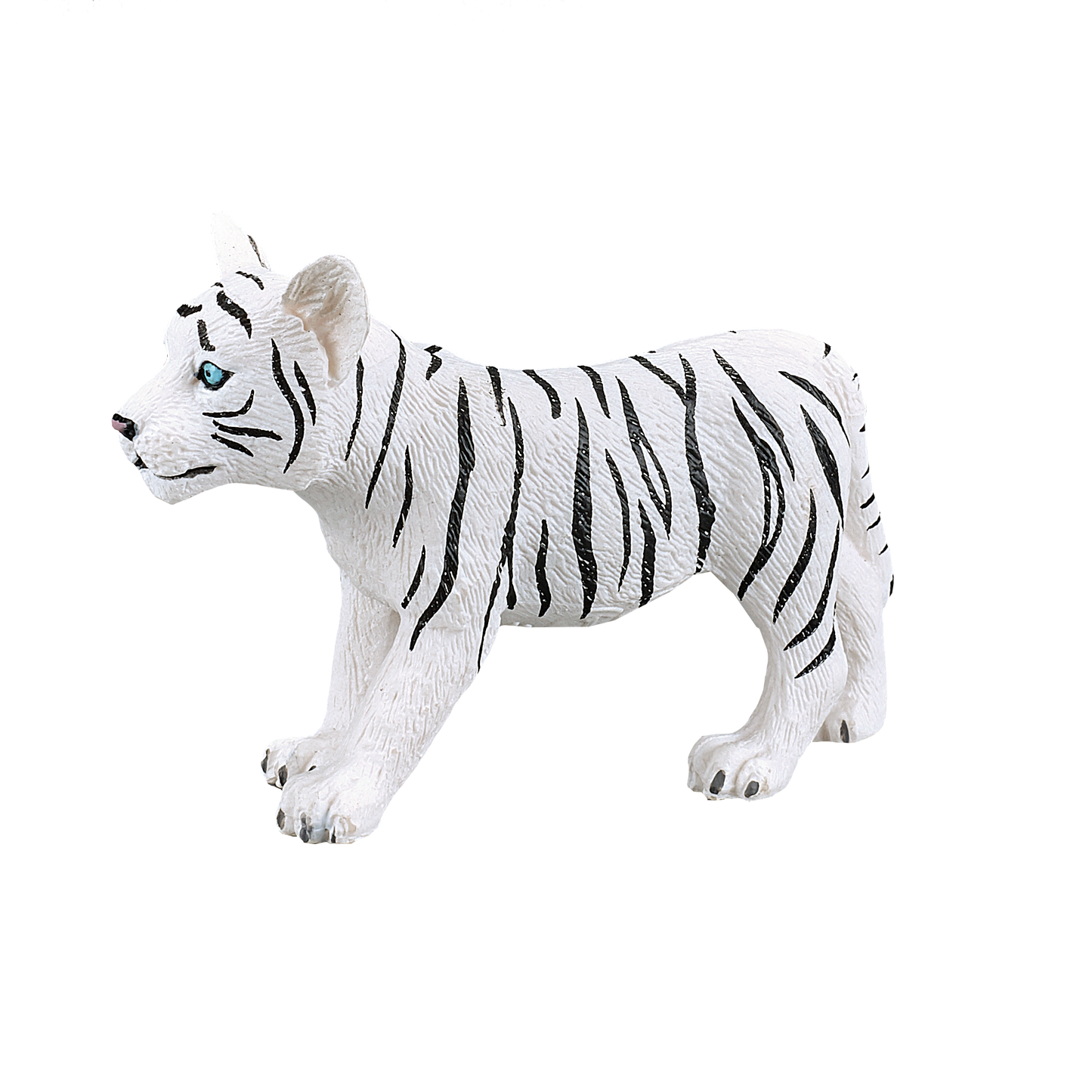 White Tiger cub standing