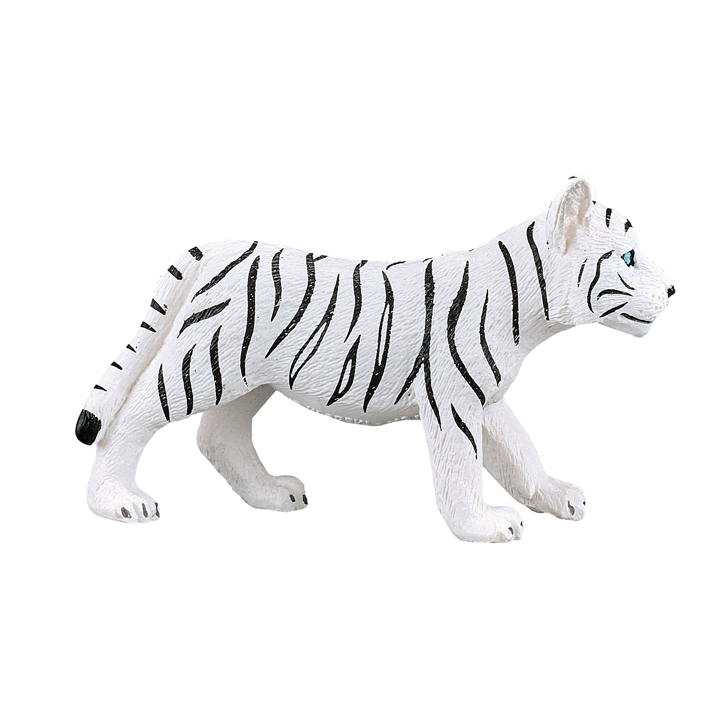 White Tiger cub standing