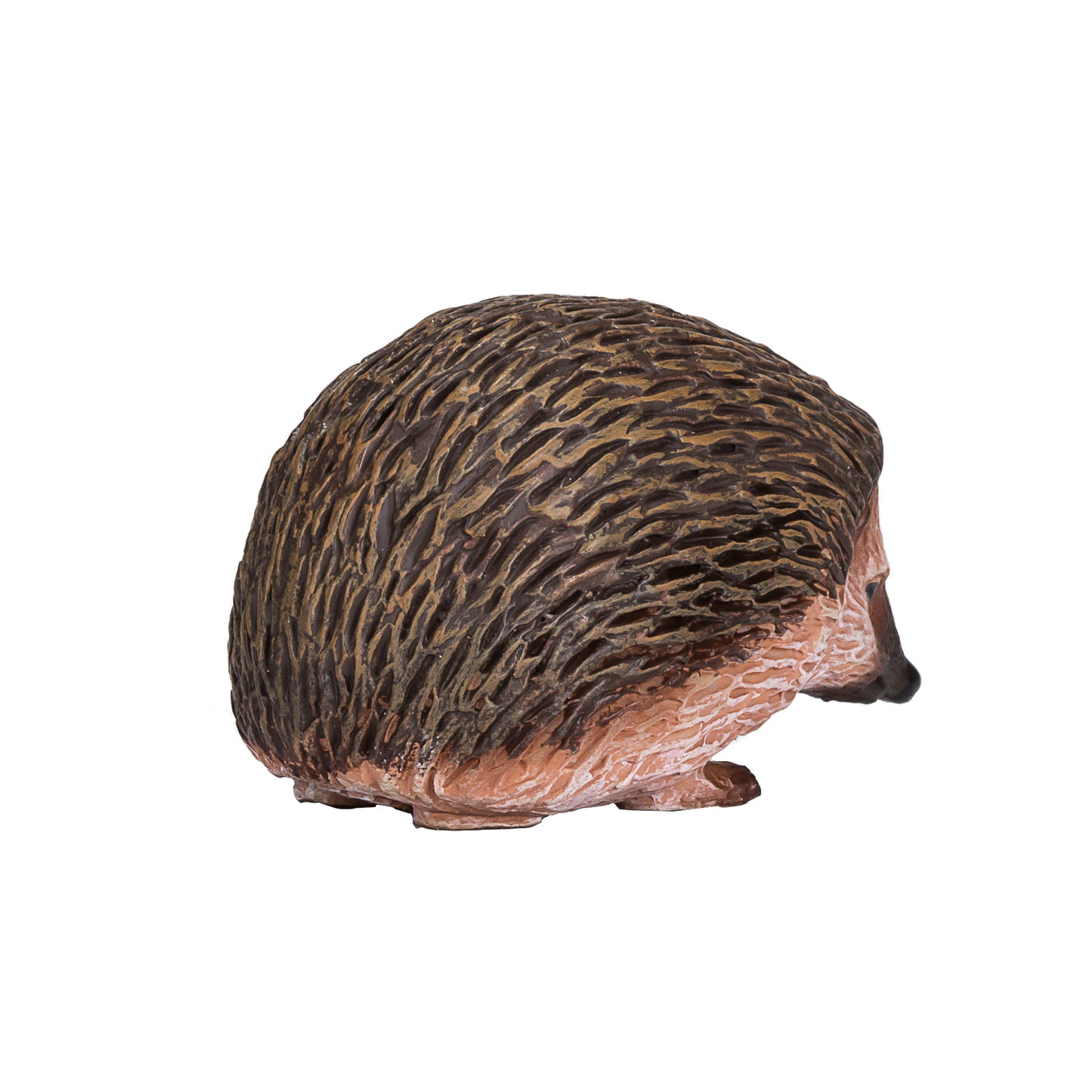 Hedgehog