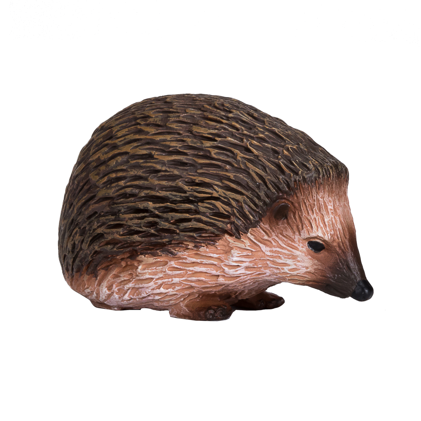 Hedgehog