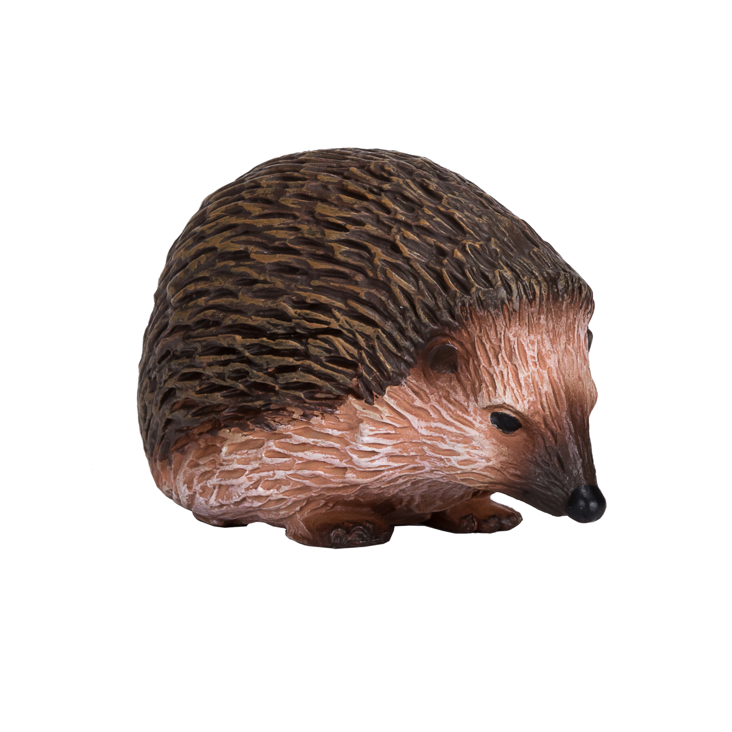 Hedgehog