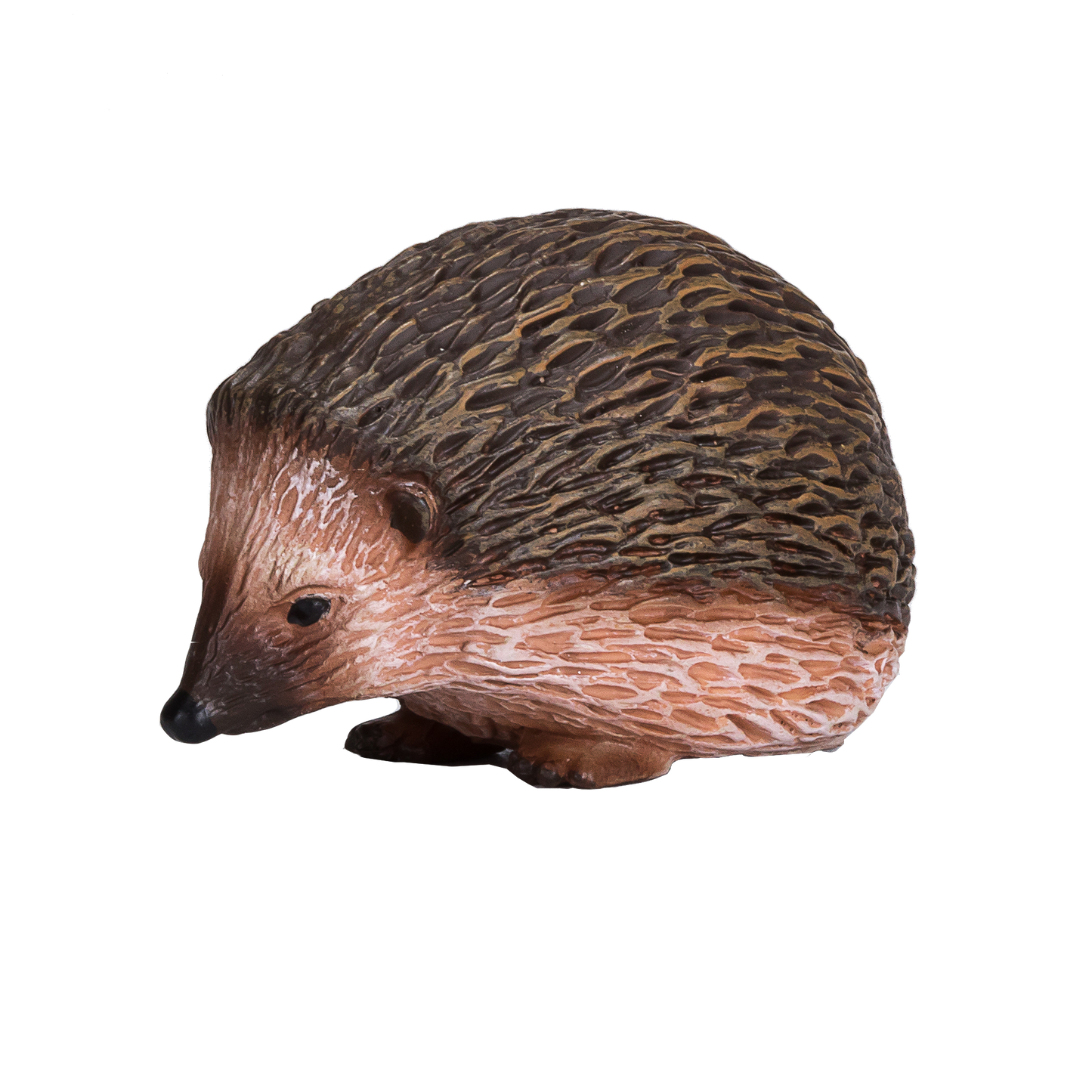 Hedgehog