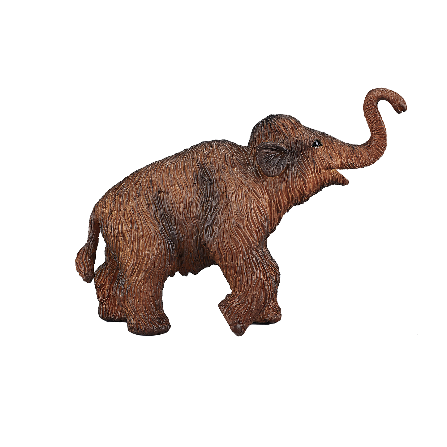 Woolly Mammoth Calf
