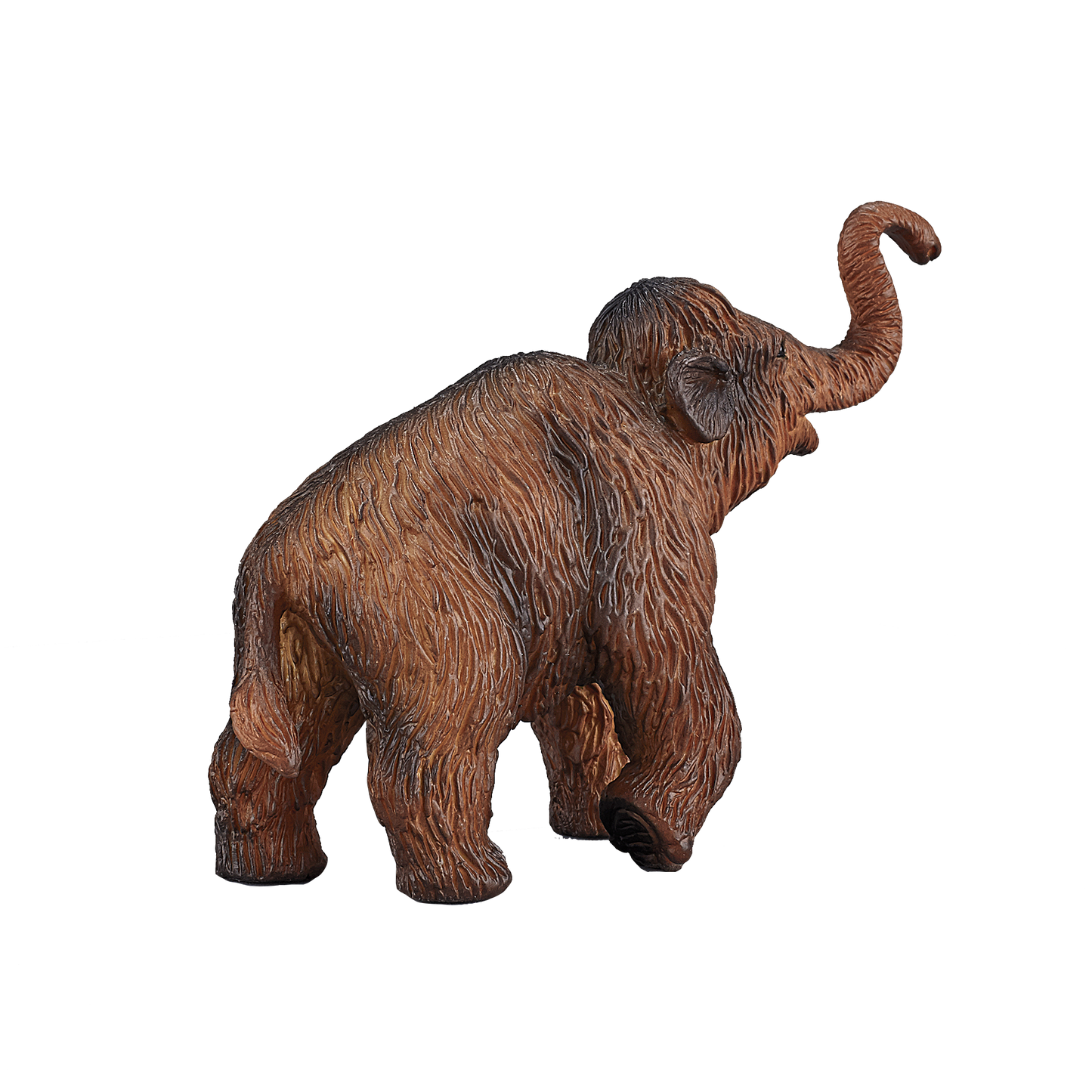 Woolly Mammoth Calf