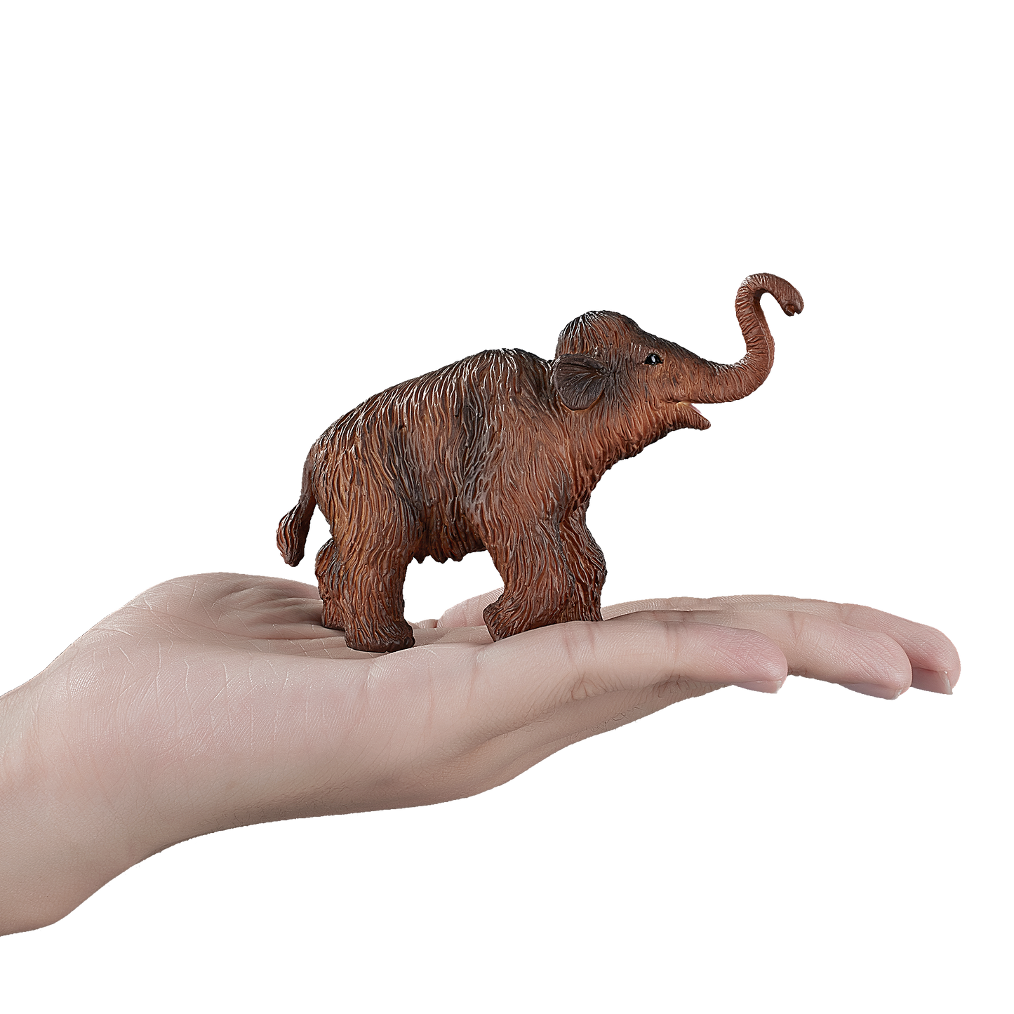 Woolly Mammoth Calf