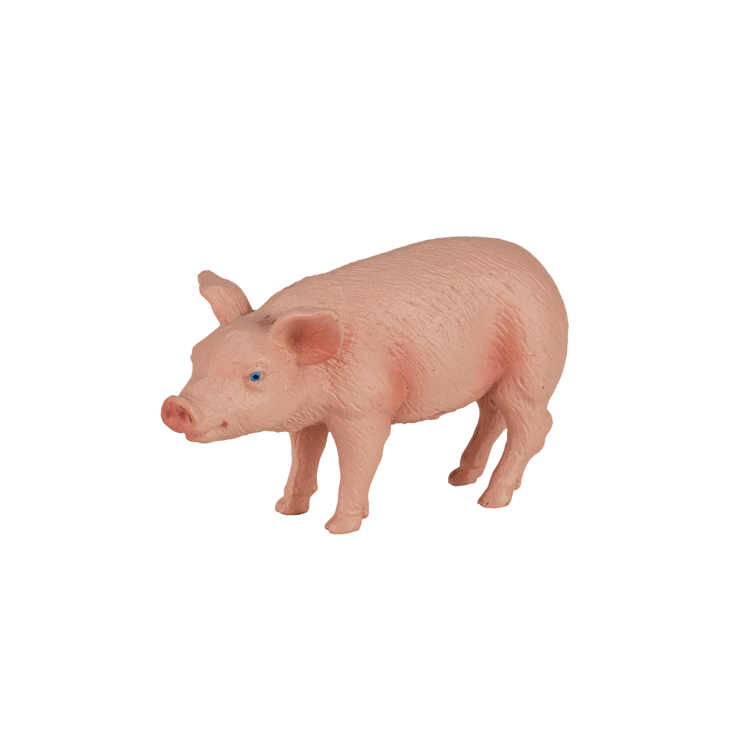 Piglet