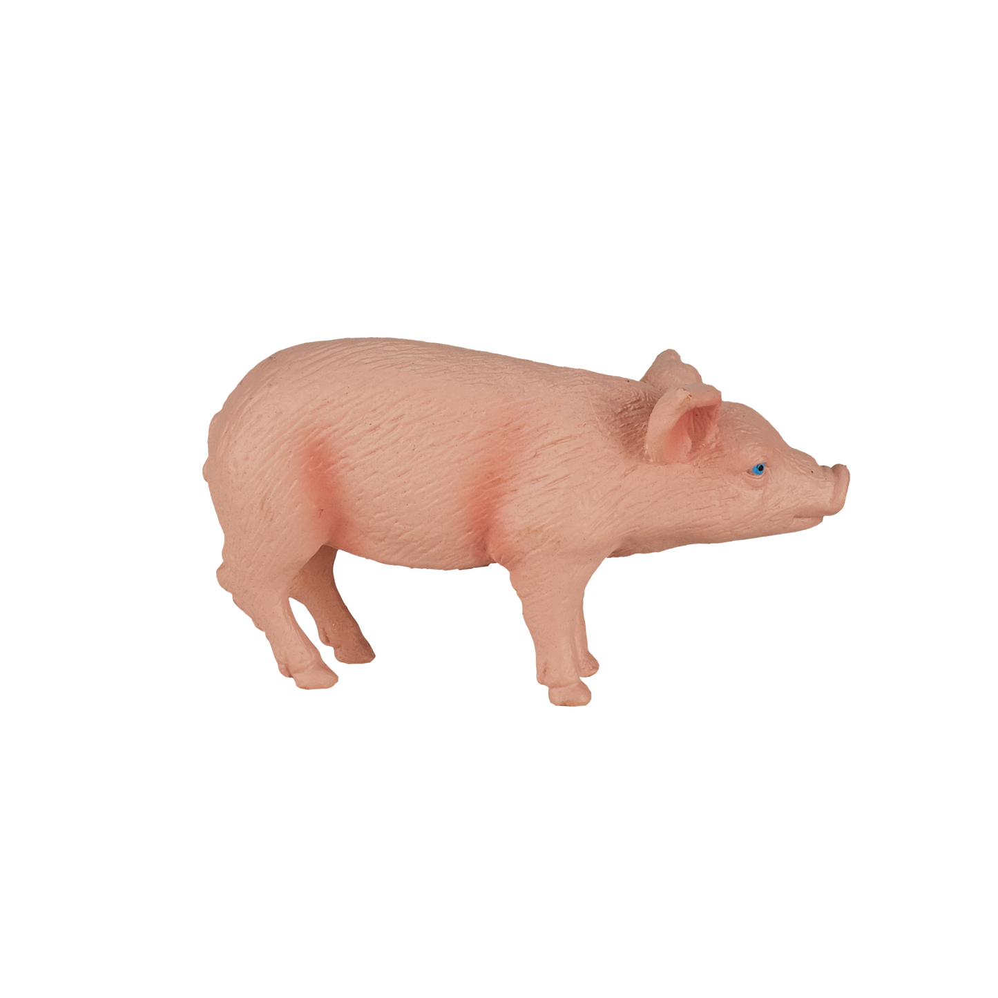 Piglet