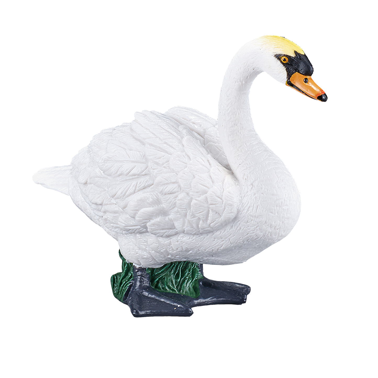 Mute Swan