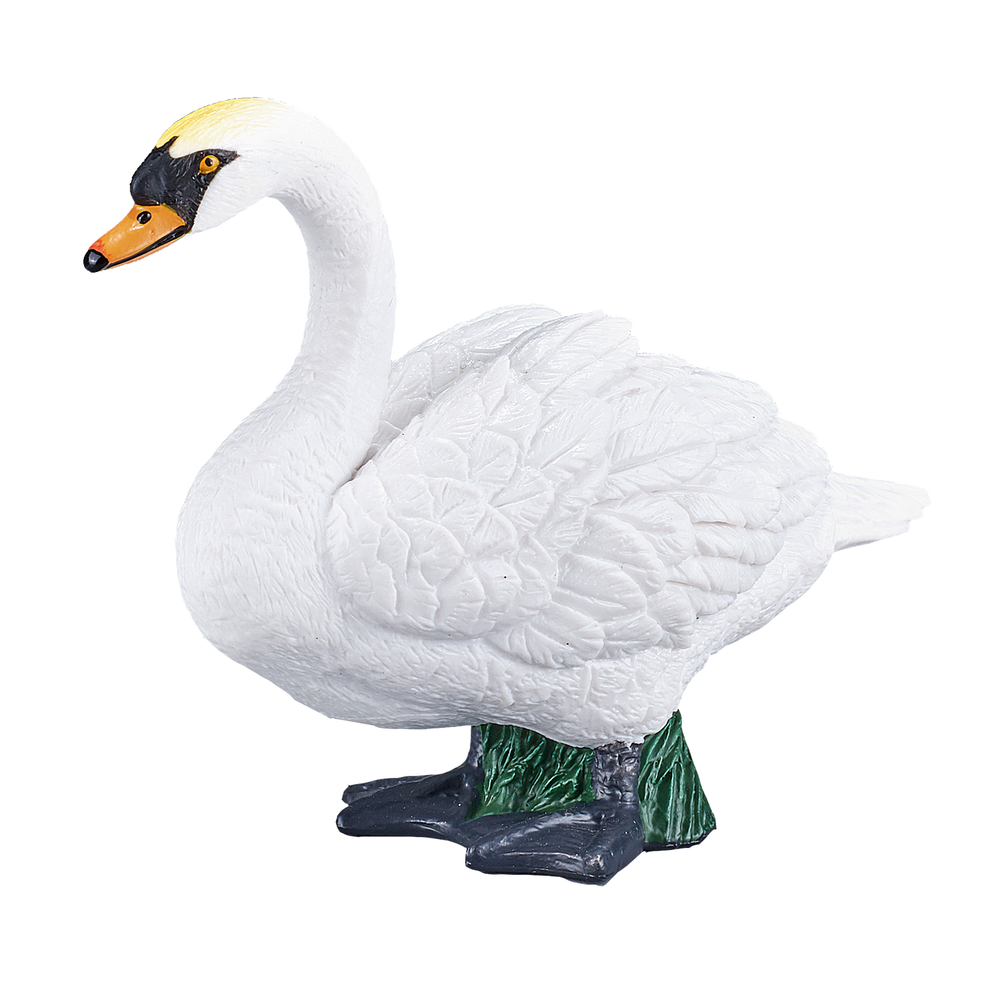 Mute Swan