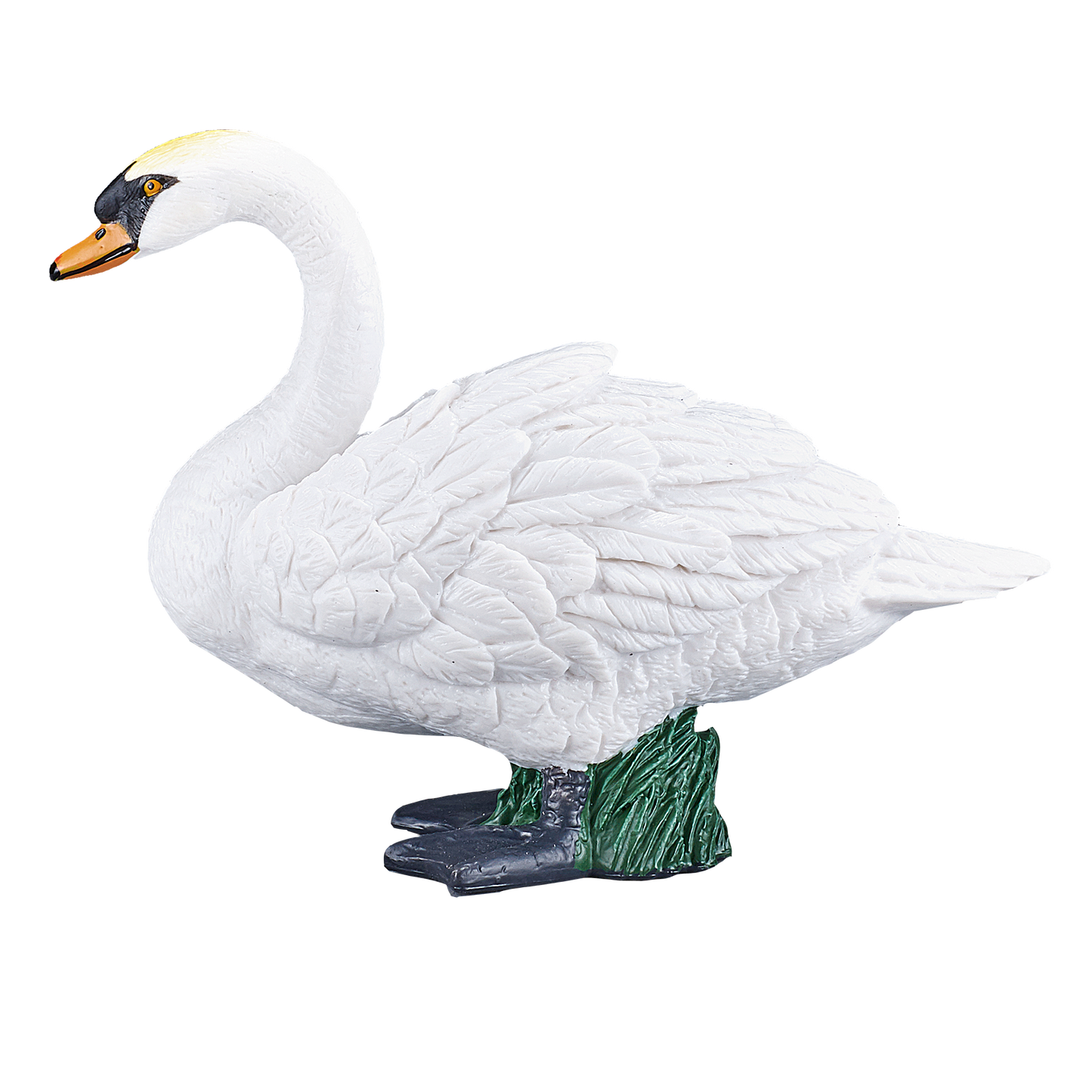 Mute Swan