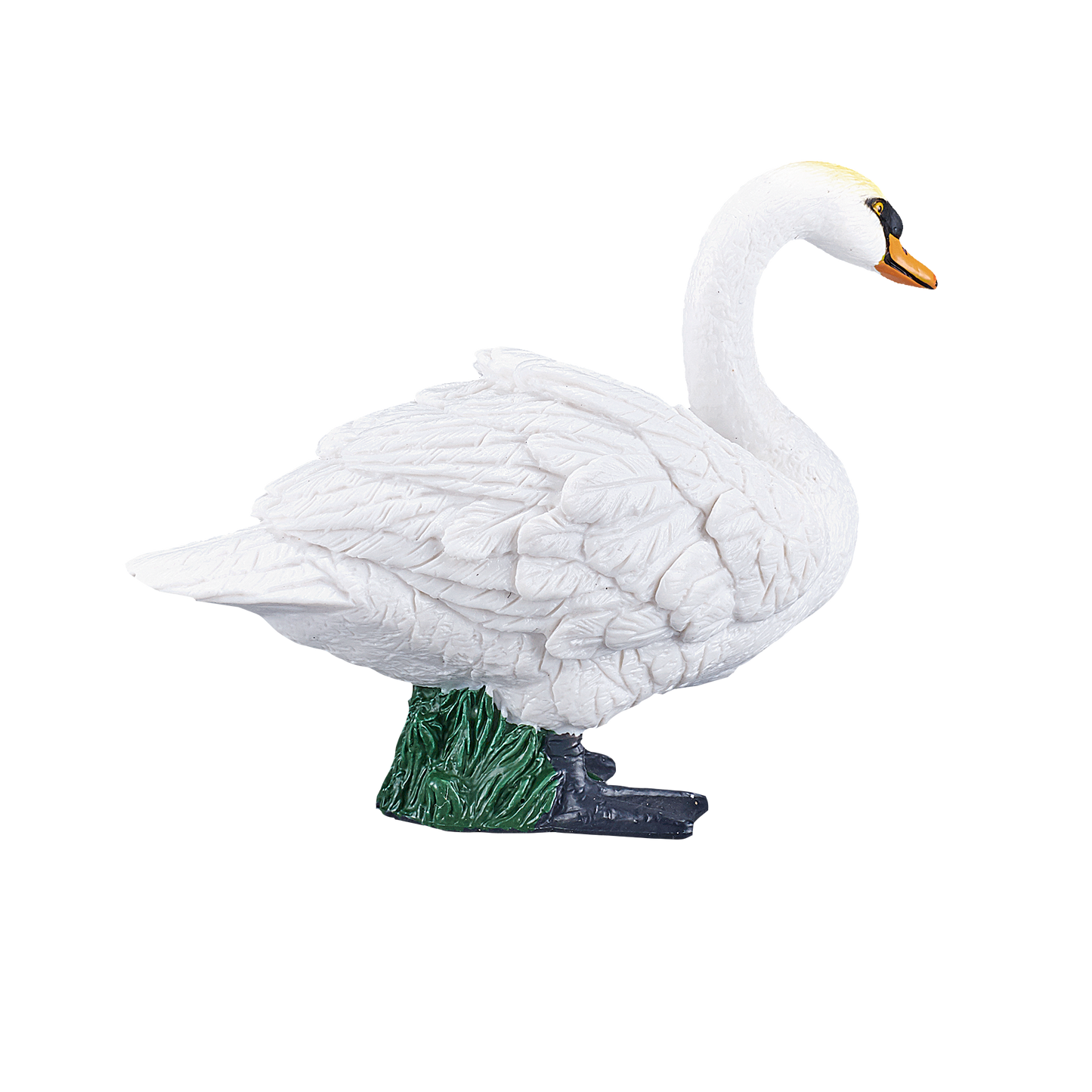 Mute Swan